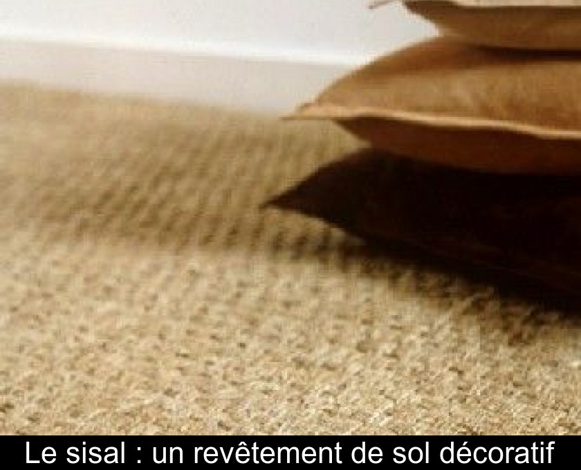 Le sisal : un revêtement de sol décoratif Le sisal : un revêtement de sol décoratif