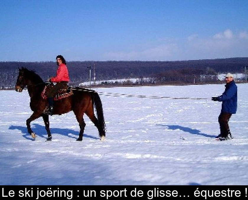 Le ski joëring : un sport de glisse… équestre !