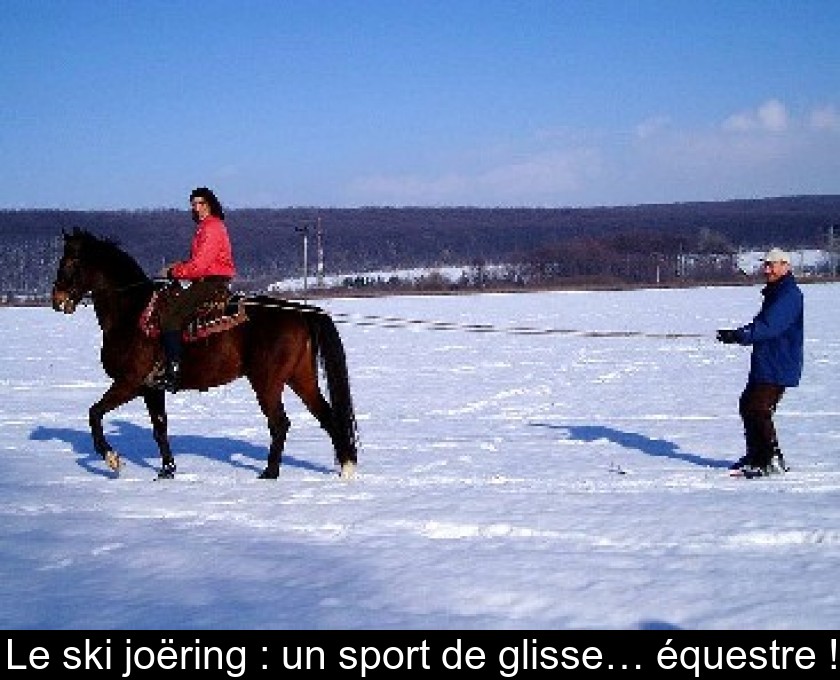 Le ski joëring : un sport de glisse… équestre ! Le ski joëring : un sport de glisse… équestre !