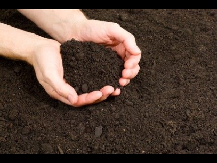 Le sol de jardin : les secrets d'une bonne terre Le sol de jardin : les secrets d'une bonne terre
