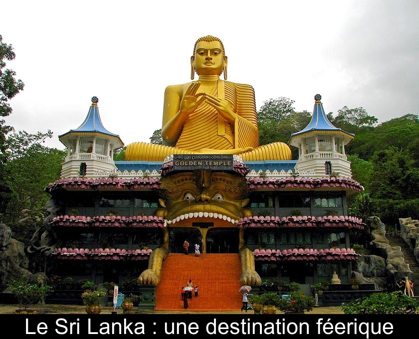 Le Sri Lanka : une destination féerique