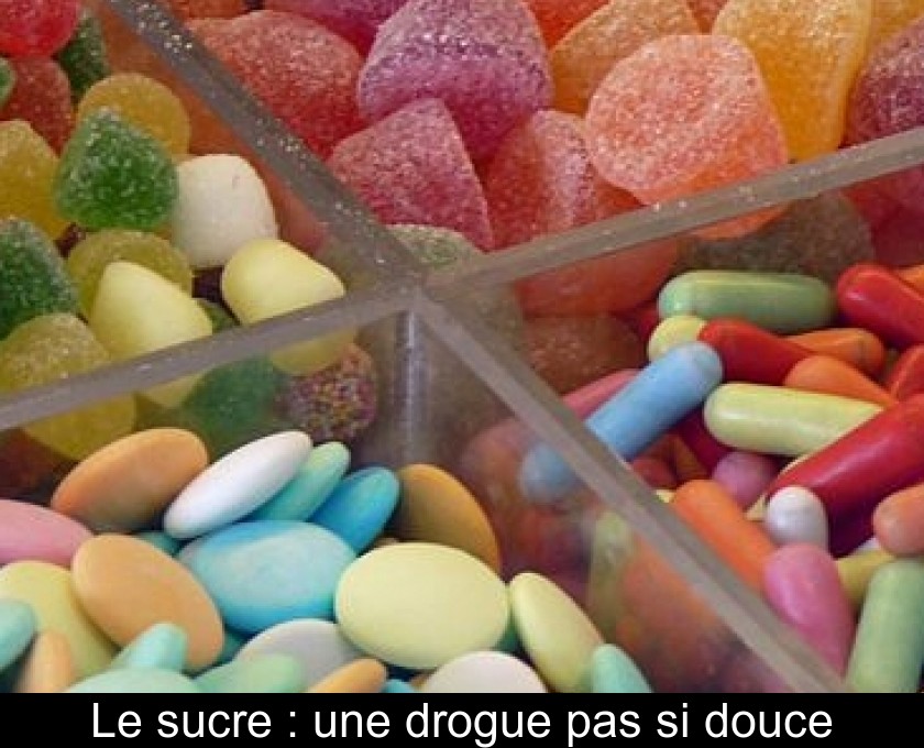 Le sucre : une drogue pas si douce Le sucre : une drogue pas si douce