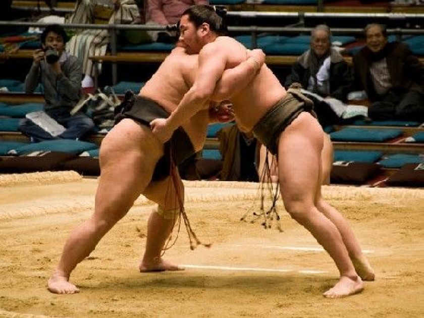 Le sumo : présentation et histoire Le sumo : présentation et histoire