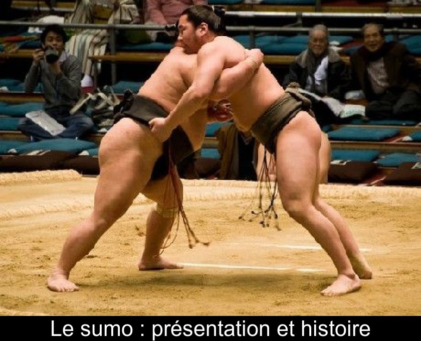Le sumo : présentation et histoire Le sumo : présentation et histoire