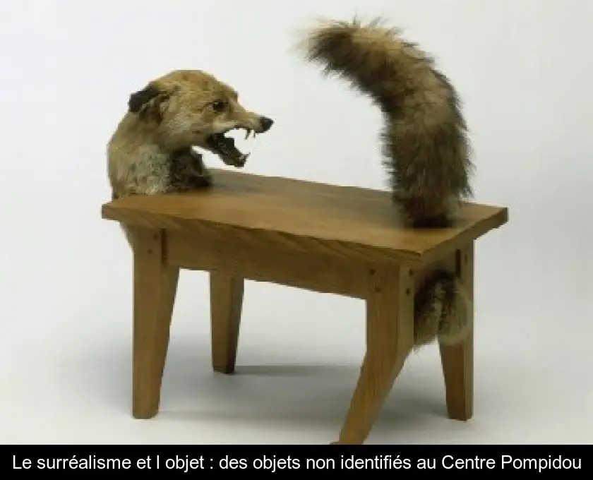 Le surréalisme et l'objet : des objets non identifiés au Centre Pompidou