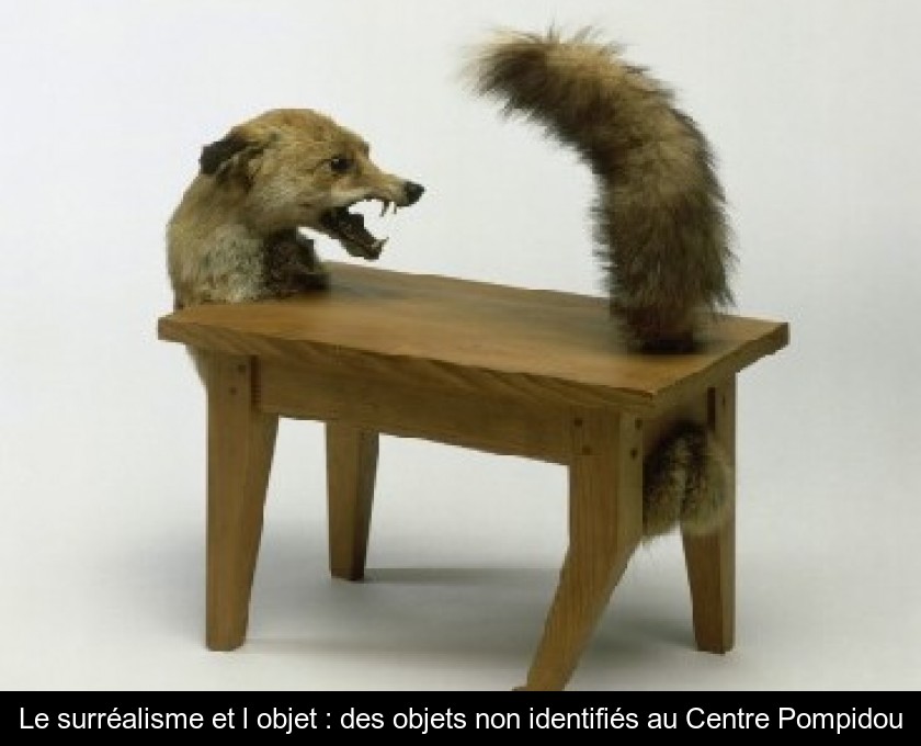 Le surréalisme et l'objet : des objets non identifiés au Centre Pompidou Le surréalisme et l'objet : des objets non identifiés au Centre Pompidou