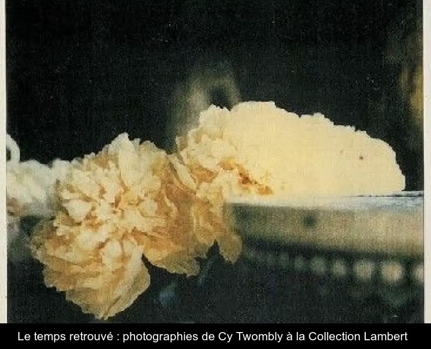 Le temps retrouvé : photographies de Cy Twombly à la Collection Lambert  