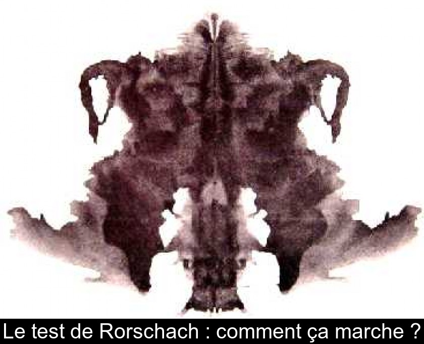 Le test de Rorschach : comment ça marche ? Le test de Rorschach : comment ça marche ?