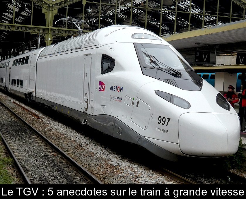 Le TGV : 5 anecdotes sur le train à grande vitesse