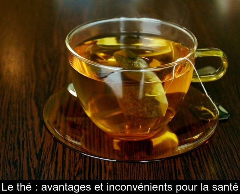 Le thé : avantages et inconvénients pour la santé Le thé : avantages et inconvénients pour la santé