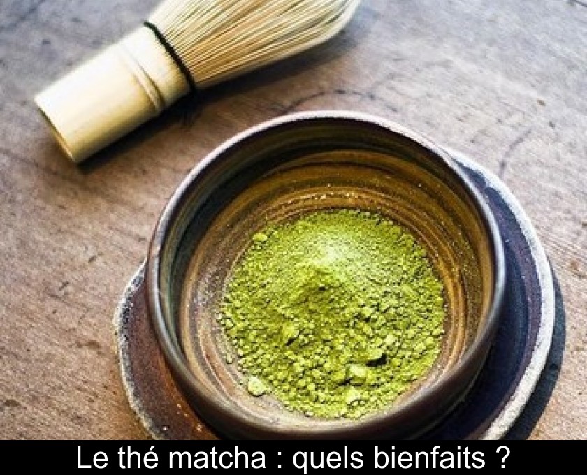 Thé matcha : la poudre verte aux multiples vertus