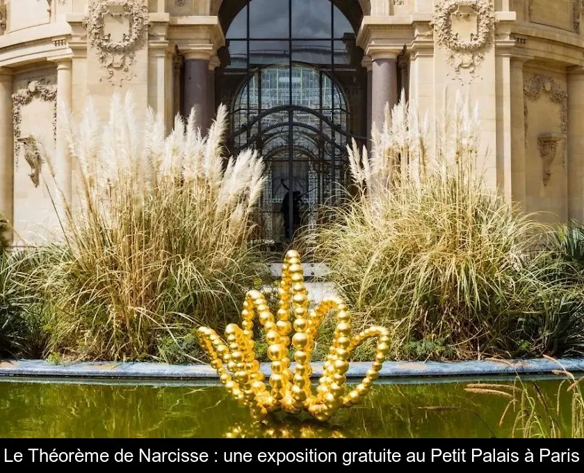 Le Théorème de Narcisse : une exposition gratuite au Petit Palais à Paris