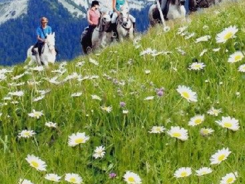 Le tourisme équestre : une formule à succès Le tourisme équestre : une formule à succès
