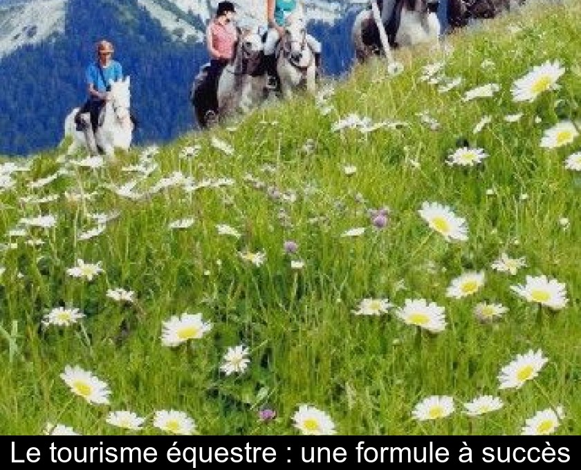 Le tourisme équestre : une formule à succès Le tourisme équestre : une formule à succès