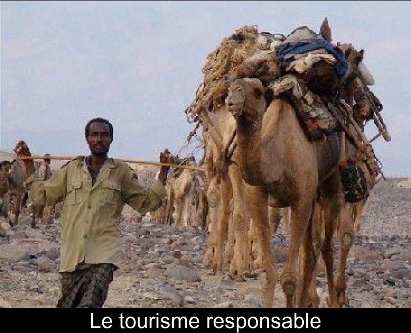 Le tourisme responsable Le tourisme responsable