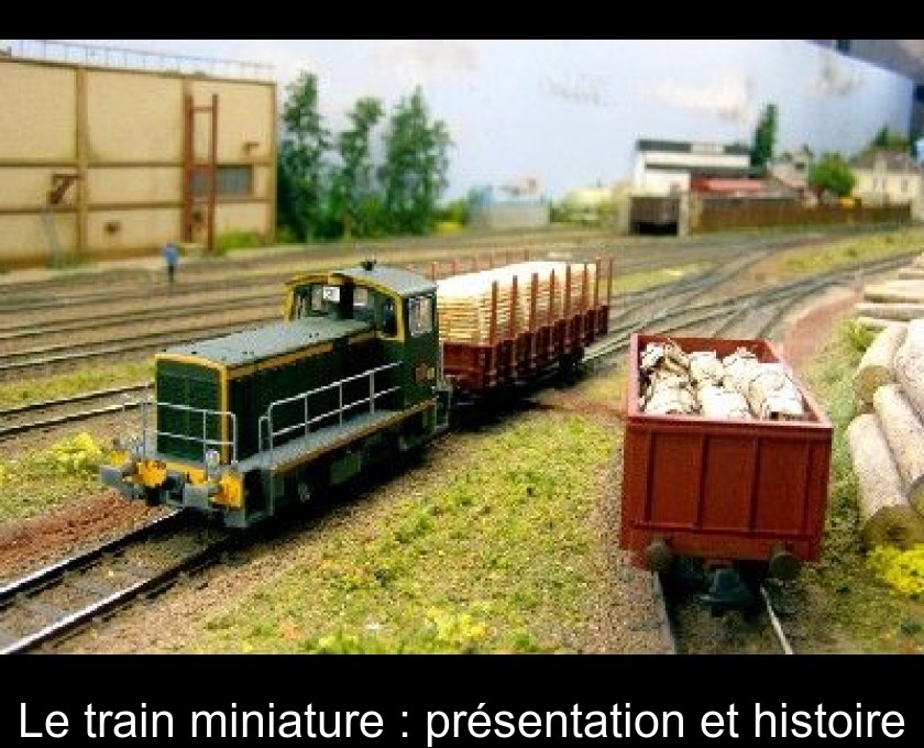 Le train miniature : présentation et histoire Le train miniature : présentation et histoire