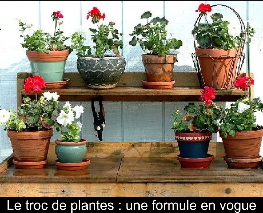 Le troc de plantes : une formule en vogue