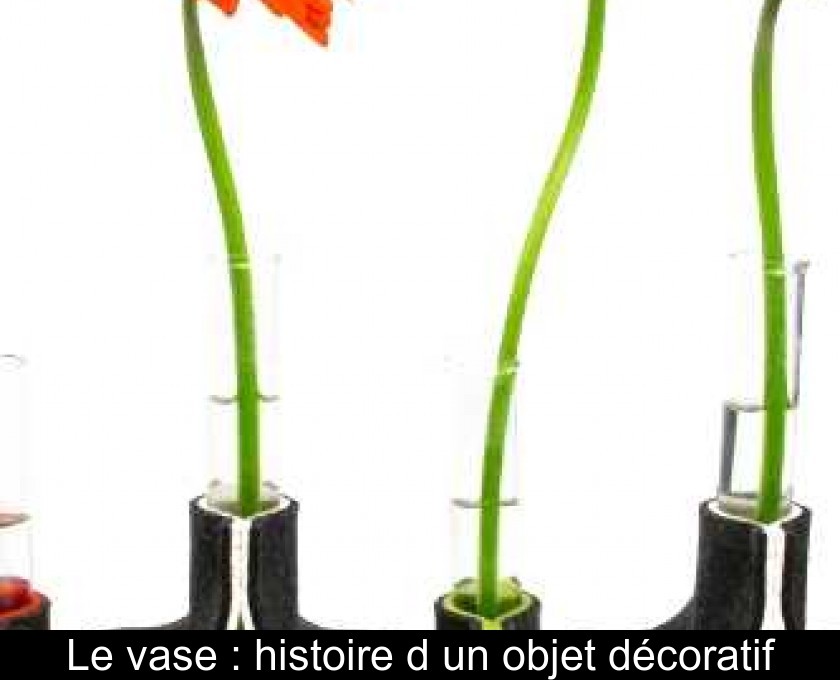 Le vase : histoire d'un objet décoratif Le vase : histoire d'un objet décoratif