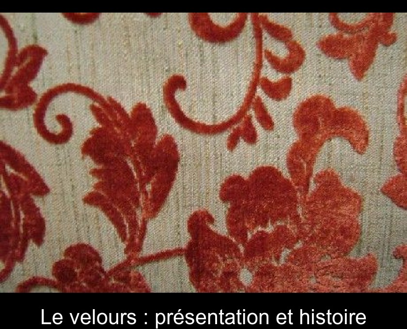 Le velours : présentation et histoire