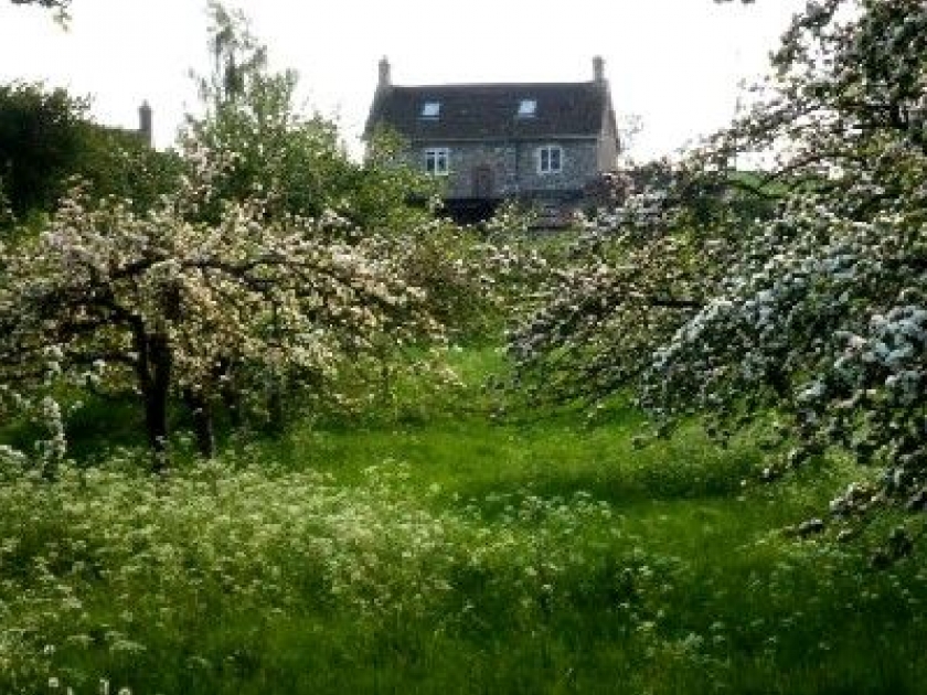 Le wwoofing : une nouvelle façon de découvrir le monde Le wwoofing : une nouvelle façon de découvrir le monde