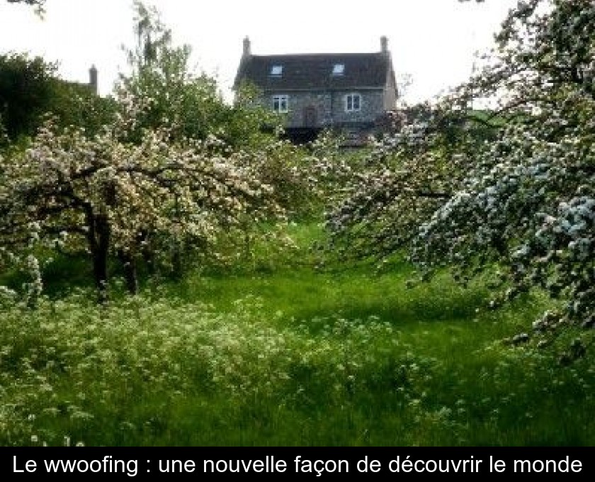 Le wwoofing : une nouvelle façon de découvrir le monde Le wwoofing : une nouvelle façon de découvrir le monde