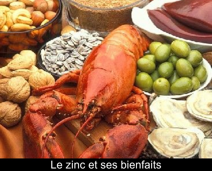 Le zinc et ses bienfaits