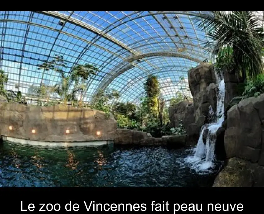 Le zoo de Vincennes fait peau neuve