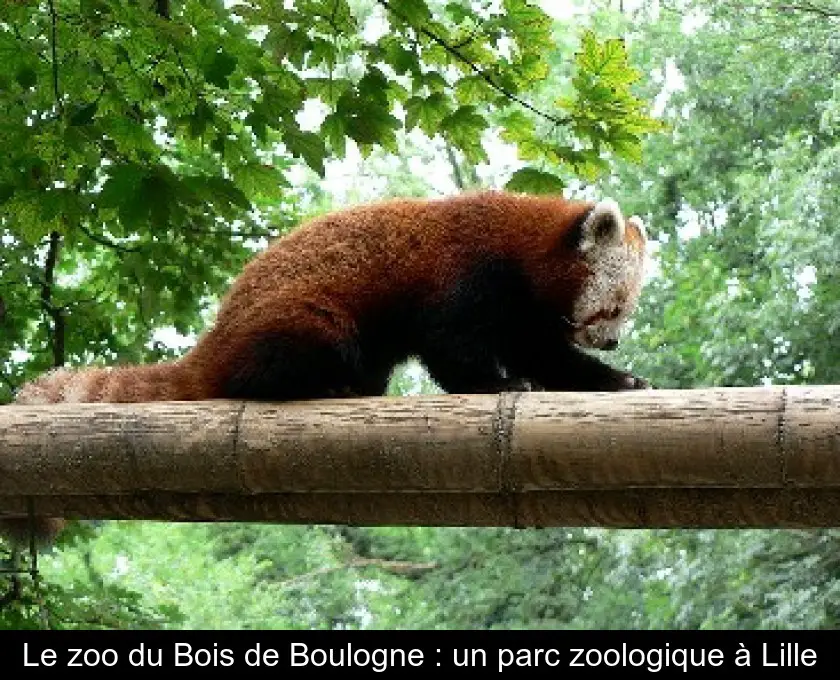Le zoo du Bois de Boulogne : un parc zoologique à Lille