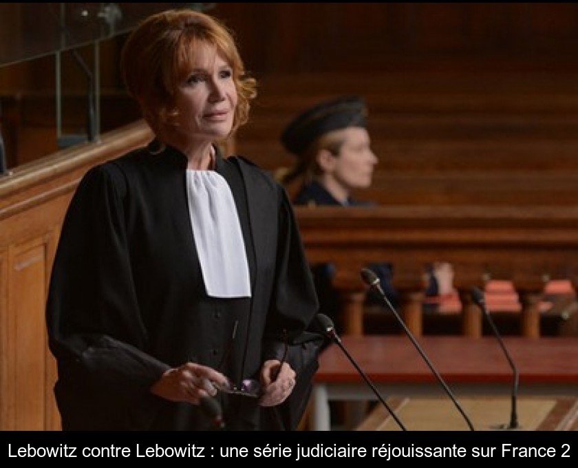 Lebowitz contre Lebowitz : une série judiciaire réjouissante sur France 2 Lebowitz contre Lebowitz : une série judiciaire réjouissante sur France 2