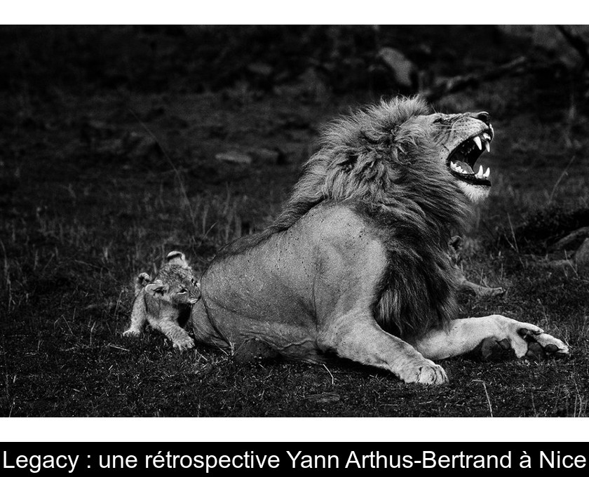 Legacy : une rétrospective Yann Arthus-Bertrand à Nice Legacy : une rétrospective Yann Arthus-Bertrand à Nice