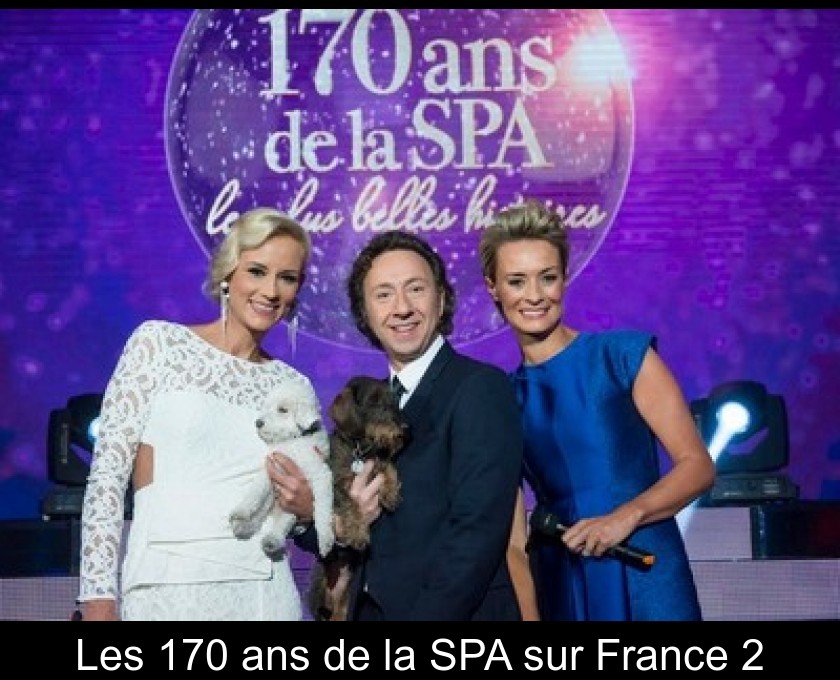 Les 170 ans de la SPA sur France 2 Les 170 ans de la SPA sur France 2
