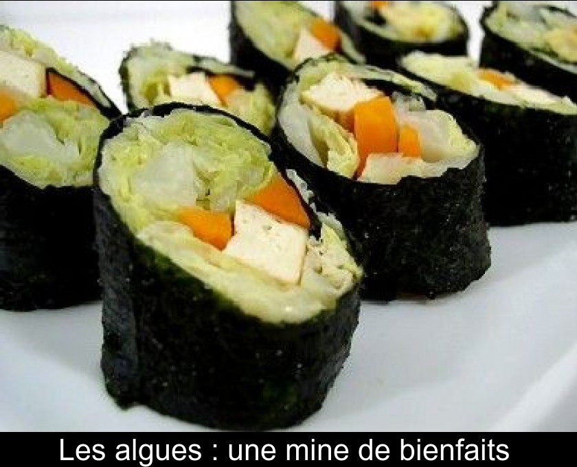 Les algues : une mine de bienfaits Les algues : une mine de bienfaits