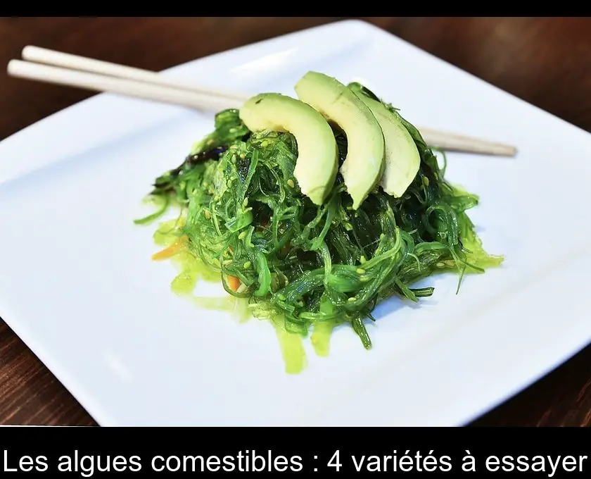 Les algues comestibles : 4 variétés à essayer