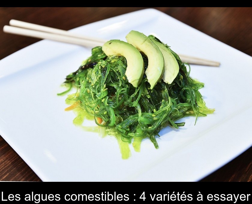 Les algues comestibles : 4 variétés à essayer Les algues comestibles : 4 variétés à essayer