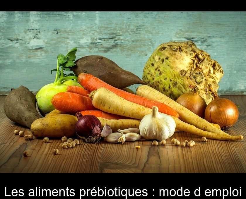 Les aliments prébiotiques : mode d'emploi