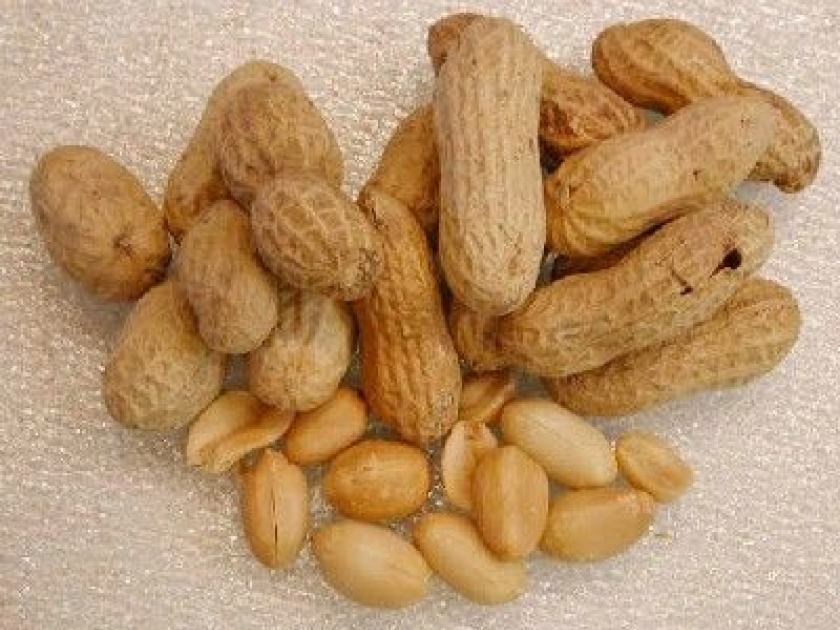 Les allergies alimentaires : une progression alarmante Les allergies alimentaires : une progression alarmante
