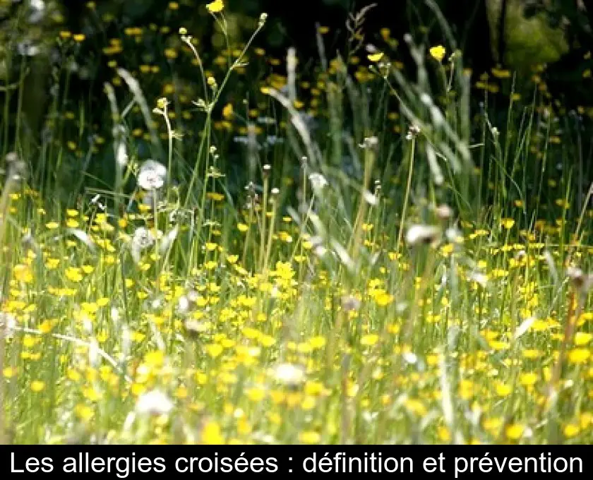 Les allergies croisées : définition et prévention