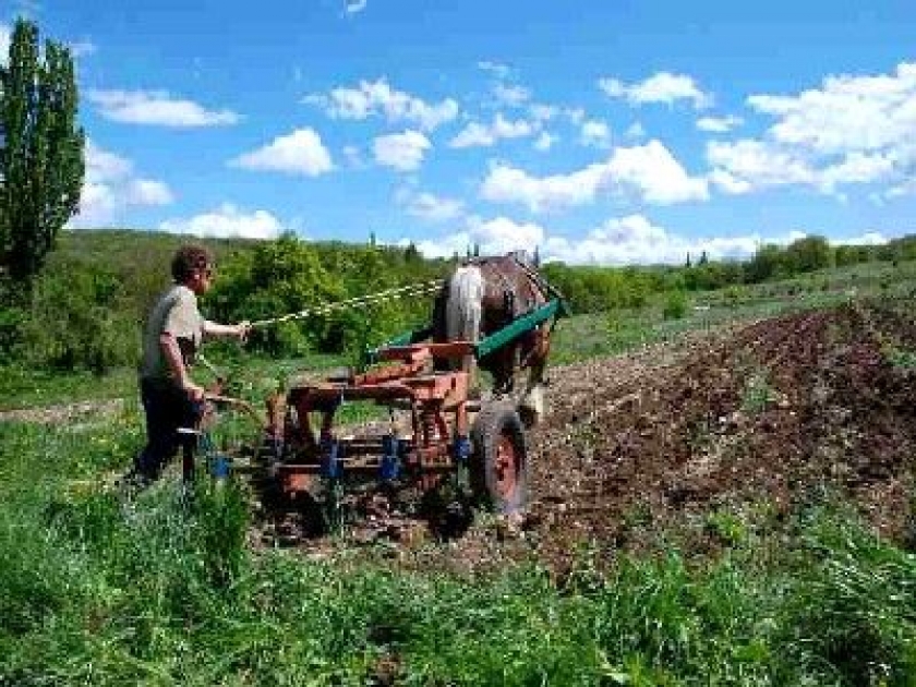 Les Amanins : un centre de formation à l'écologie Les Amanins : un centre de formation à l'écologie