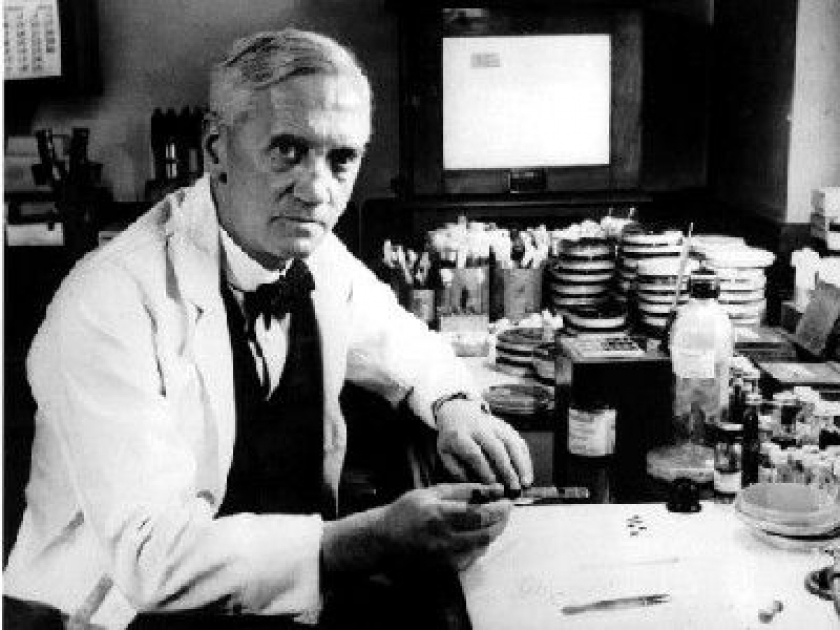 Les antibiotiques : histoire d'une découverte Les antibiotiques : histoire d'une découverte
