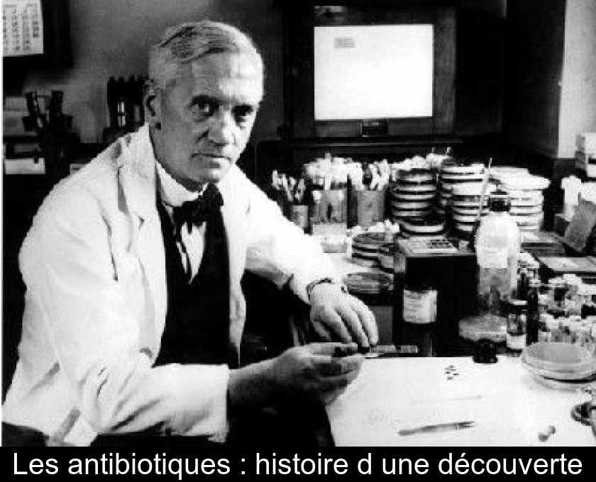 Les antibiotiques : histoire d'une découverte Les antibiotiques : histoire d'une découverte