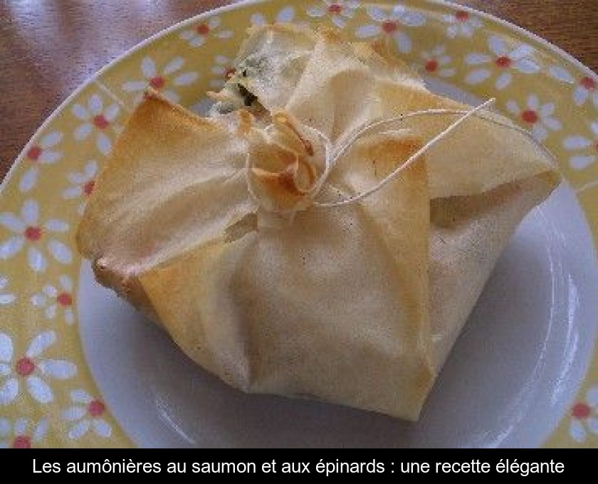 Les aumônières au saumon et aux épinards : une recette élégante Les aumônières au saumon et aux épinards : une recette élégante