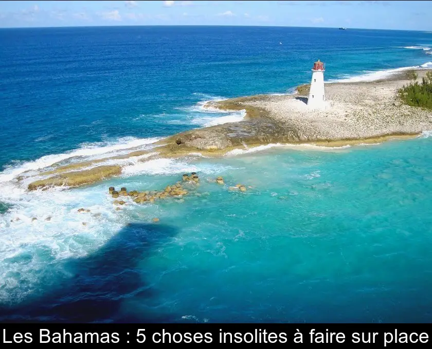 Les Bahamas : 5 choses insolites à faire sur place