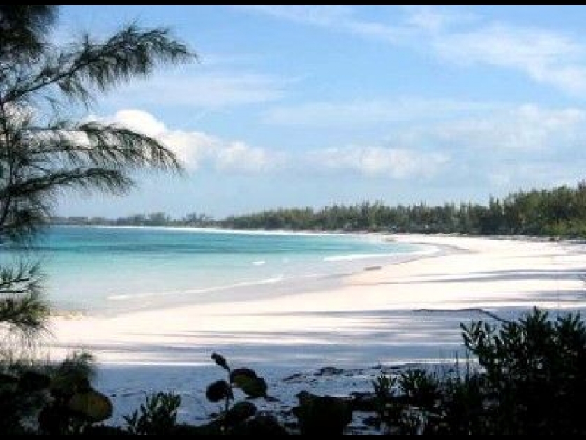 Les Bahamas : une destination de rêve Les Bahamas : une destination de rêve