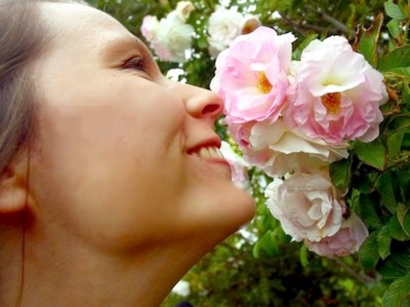 Les bienfaits de la rose pour la peau : guide pratique Les bienfaits de la rose pour la peau : guide pratique