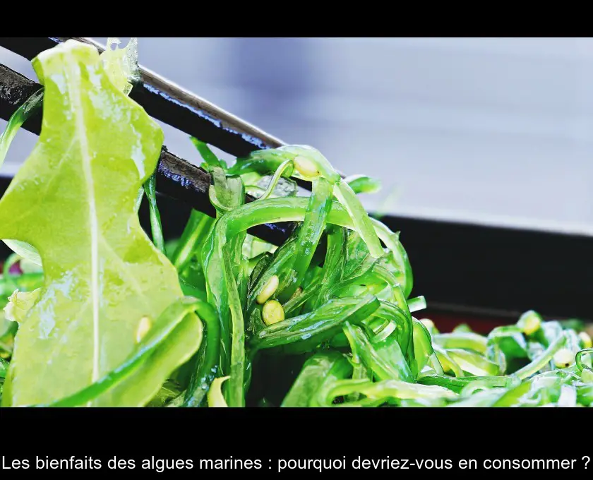 Les bienfaits des algues marines : pourquoi devriez-vous en consommer ?