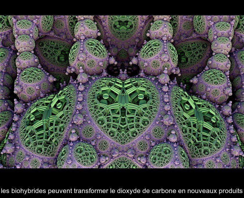 les biohybrides peuvent transformer le dioxyde de carbone en nouveaux produits les biohybrides peuvent transformer le dioxyde de carbone en nouveaux produits