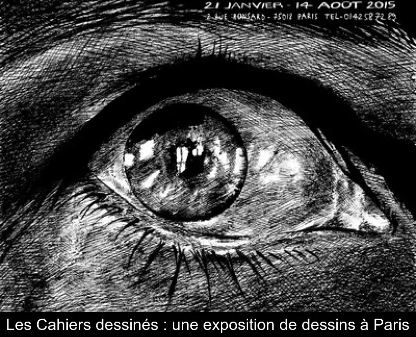 Les Cahiers dessinés : une exposition de dessins à Paris
