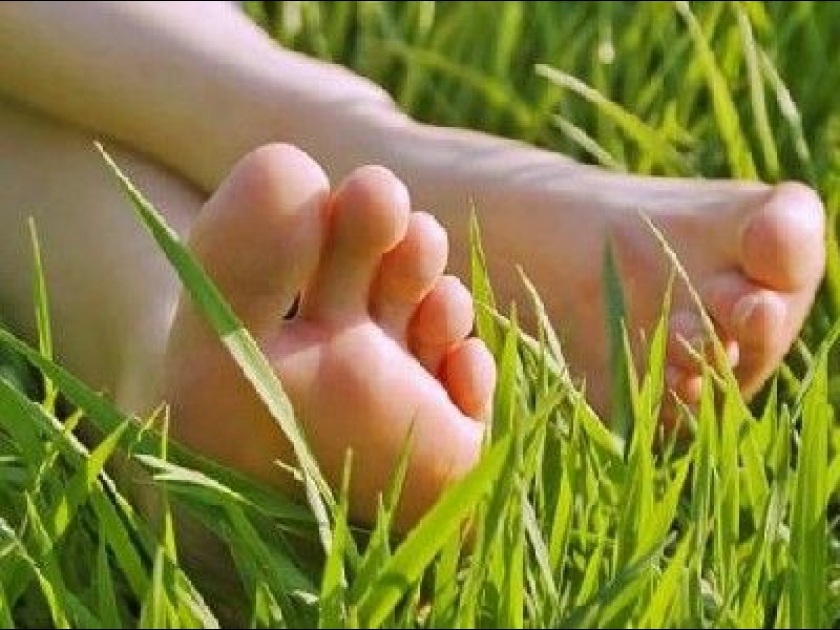 Les cors et durillons : quelles solutions ? Les cors et durillons : quelles solutions ?