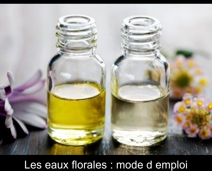 Les eaux florales : mode d'emploi