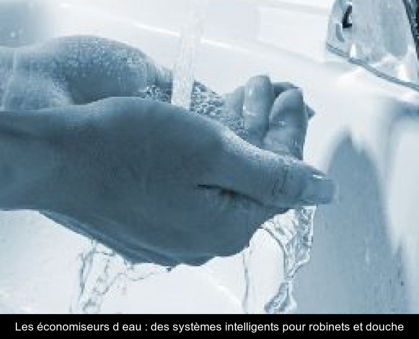 Les économiseurs d'eau : des systèmes intelligents pour robinets et douche Les économiseurs d'eau : des systèmes intelligents pour robinets et douche
